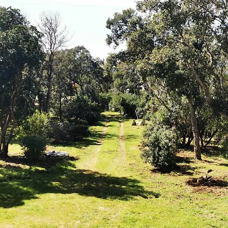 Casa Sognu Di Orizonte Figari (Corsica)