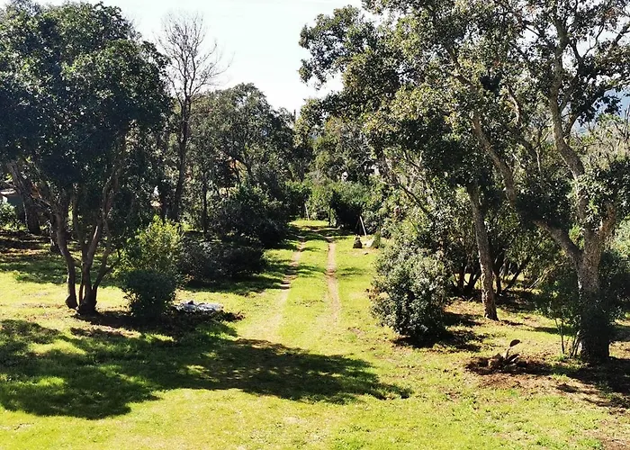 Casa Sognu Di Orizonte Figari (Corsica)
