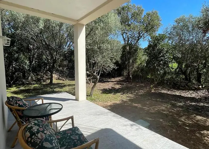 Villa Casa Sognu Di Orizonte Figari (Corsica)